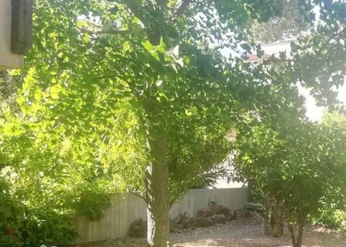 La Niviera Appartamento *